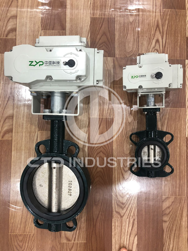 Van điện động ZYS-20